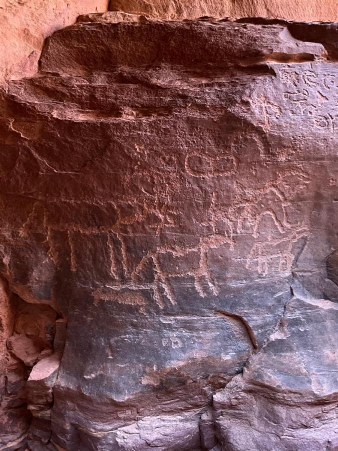 Wadi Rum Bedouin Heart Camp ภายนอก รูปภาพ